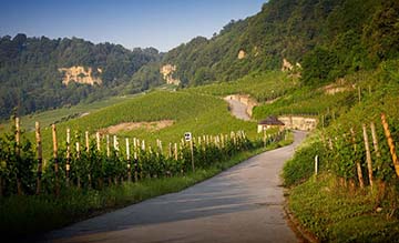 Clos des Rochers, Luxembourg